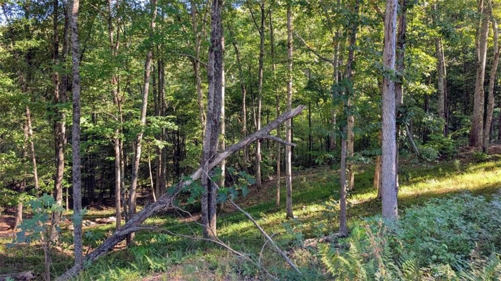 single family residence for sale at LOT 1 White Oak Circle, Blue Ridge, GA 30513 — photo 3