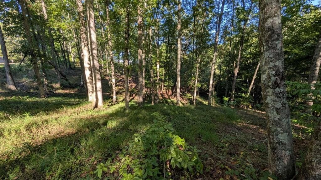 single family residence for sale at LOT 1 White Oak Circle, Blue Ridge, GA 30513 — photo 4
