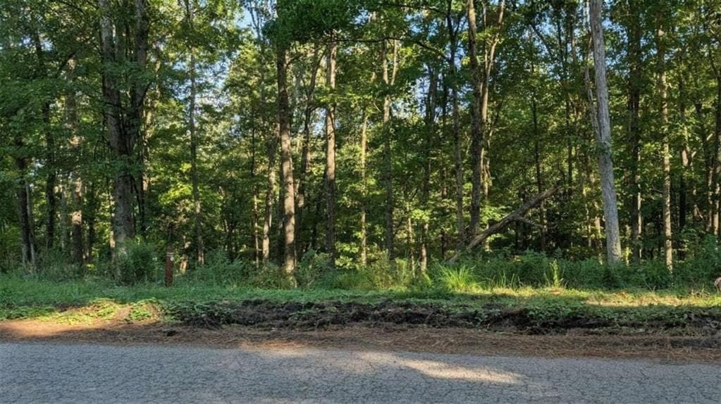 single family residence for sale at LOT 1 White Oak Circle, Blue Ridge, GA 30513 — photo 5