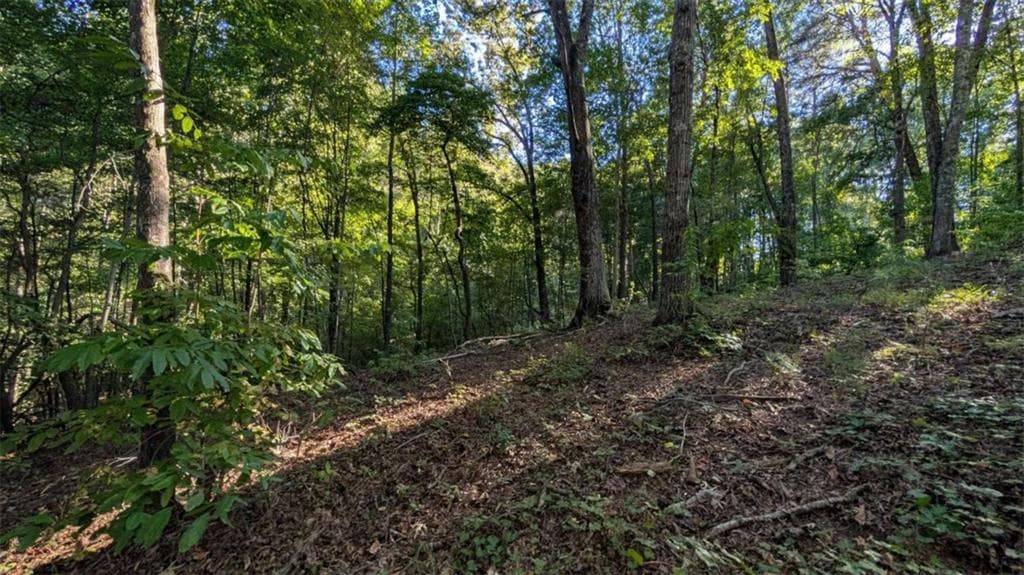 single family residence for sale at LOT 1 White Oak Circle, Blue Ridge, GA 30513 — photo 6