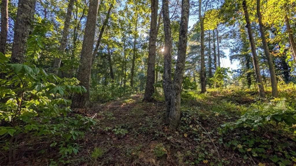single family residence for sale at LOT 1 White Oak Circle, Blue Ridge, GA 30513 — photo 7