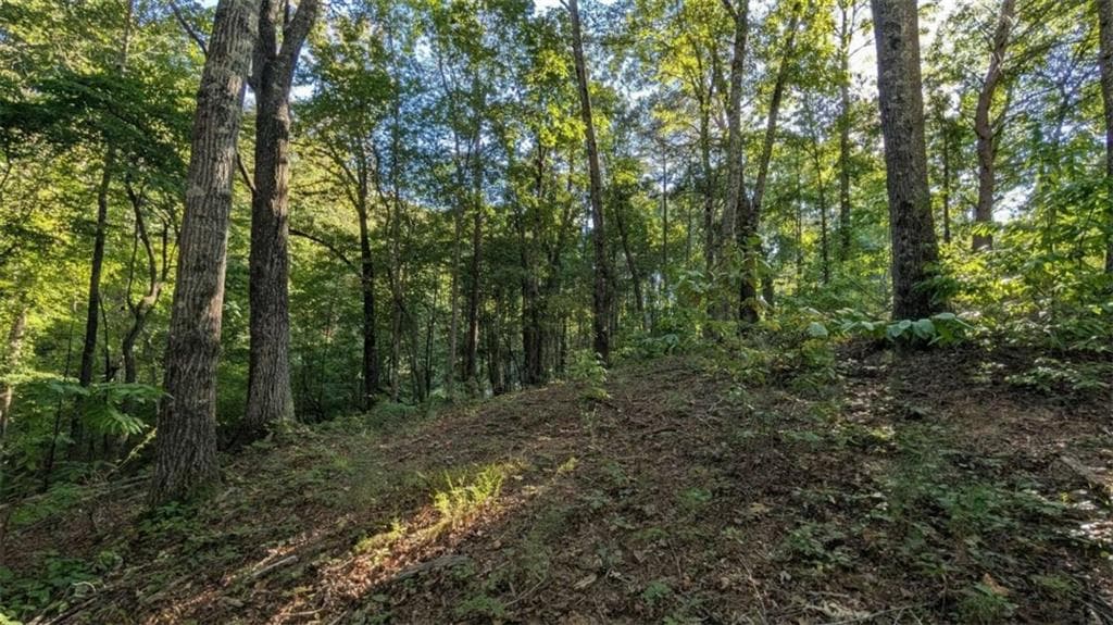single family residence for sale at LOT 1 White Oak Circle, Blue Ridge, GA 30513 — photo 8