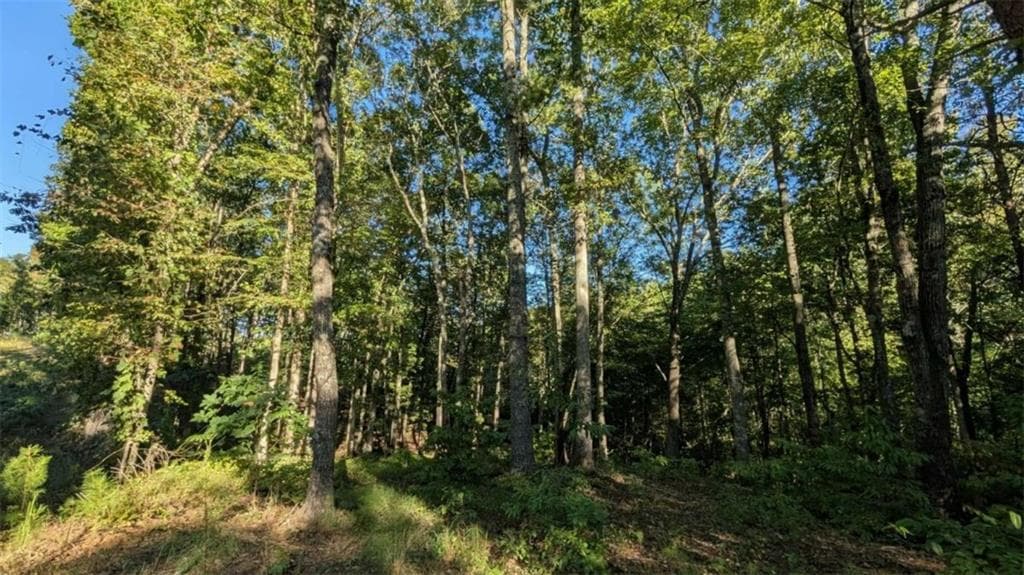 single family residence for sale at LOT 1 White Oak Circle, Blue Ridge, GA 30513 — photo 10