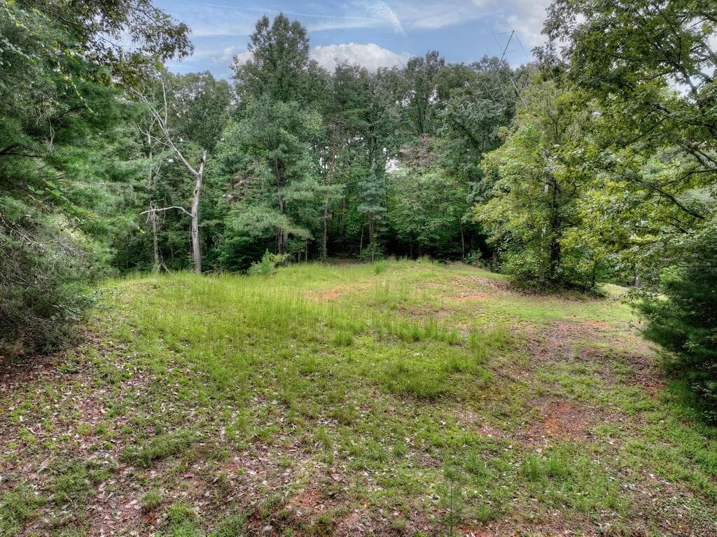 2 bedroom, 3 bathroom, 1,775 sq ft single family residence for sale at 3347 Highway 52, Ellijay, GA 30536 — photo 4