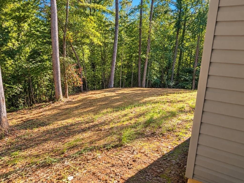 3 bedroom, 3 bathroom, 1,456 sq ft single family residence for sale at 97 Juniper Drive, Ellijay, GA 30540 — photo 10