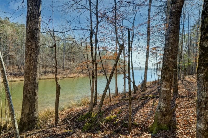 single family residence for sale at 689 Moccasin Gap Road, Jackson, GA 30233 — photo 2