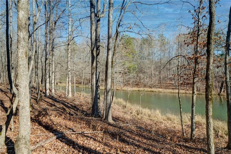 single family residence for sale at 689 Moccasin Gap Road, Jackson, GA 30233 — photo 9