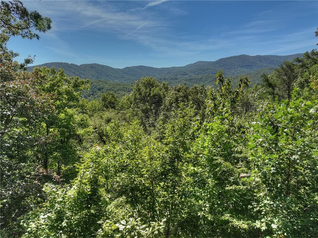 3 bedroom, 3 bathroom, 2,520 sq ft single family residence for sale at 300 Cloudland Trace, Epworth, GA 30541 — photo 3
