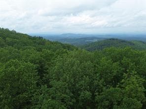 single family residence for sale at 41 High Summit Drive, Talking Rock, GA 30175 — photo 10