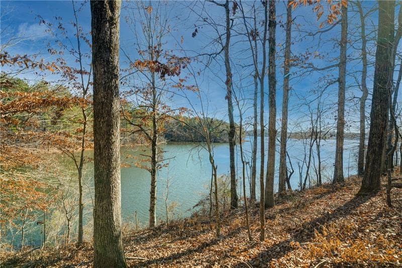 single family residence for sale at 691 Moccasin Gap Road, Jackson, GA 30233 — photo 2