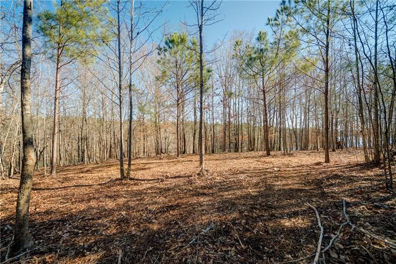 single family residence for sale at 691 Moccasin Gap Road, Jackson, GA 30233 — photo 8