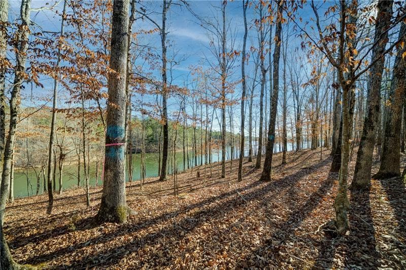 single family residence for sale at 691 Moccasin Gap Road, Jackson, GA 30233 — photo 9