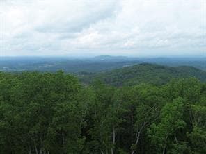 single family residence for sale at 40 High Summit Drive, Talking Rock, GA 30175 — photo 10