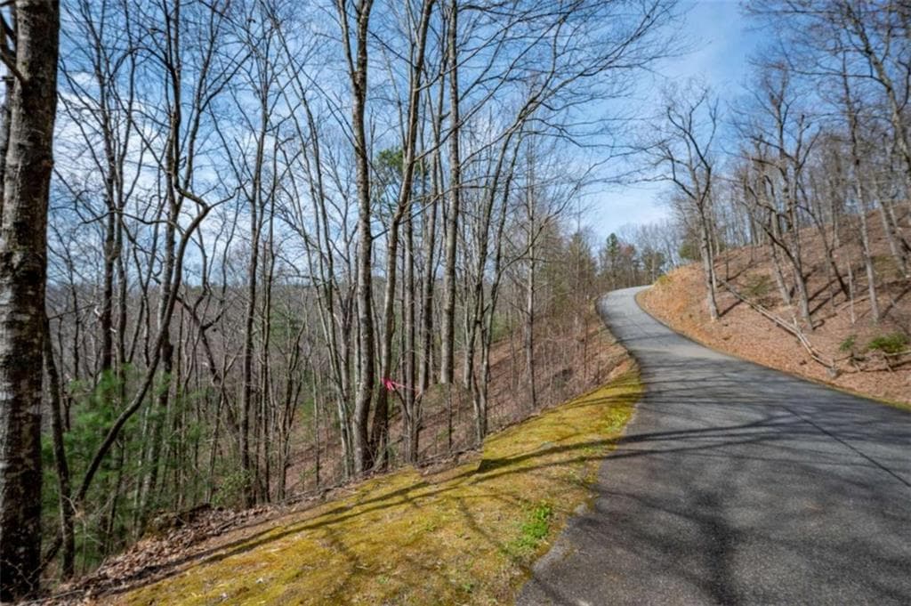 unimproved land for sale at LOT 7 Oceola Drive, Ellijay, GA 30540