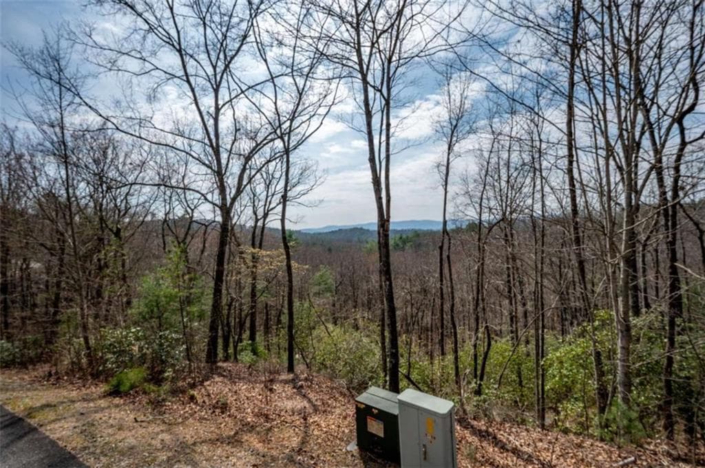 unimproved land for sale at LOT 7 Oceola Drive, Ellijay, GA 30540 — photo 2