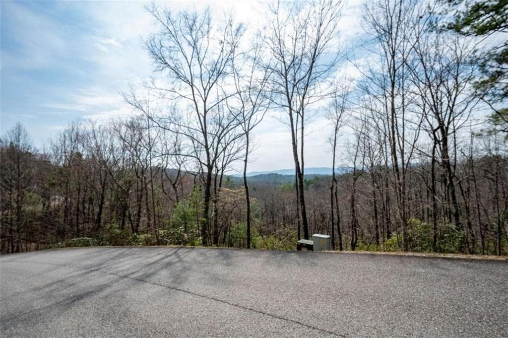 unimproved land for sale at LOT 7 Oceola Drive, Ellijay, GA 30540 — photo 3