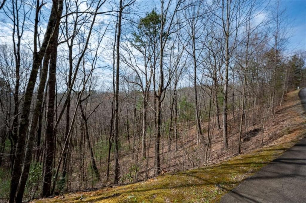 unimproved land for sale at LOT 7 Oceola Drive, Ellijay, GA 30540 — photo 5