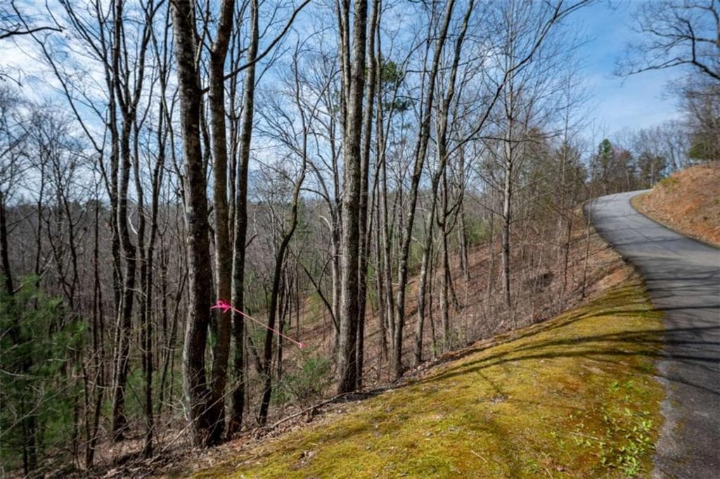 unimproved land for sale at LOT 7 Oceola Drive, Ellijay, GA 30540 — photo 6