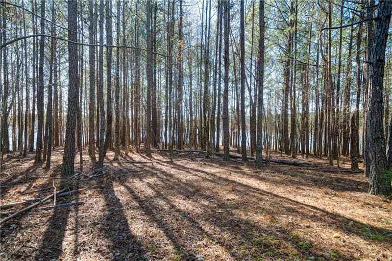 single family residence for sale at 697 Moccasin Gap Road, Jackson, GA 30233 — photo 9