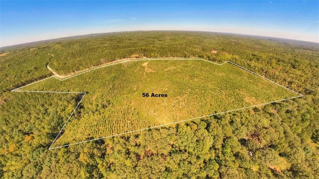 unimproved land for sale at 0 Hutcheson Ferry Road, Whitesburg, GA 30185 — photo 2