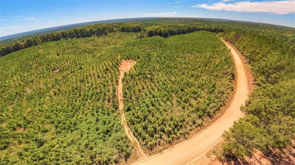 unimproved land for sale at 0 Hutcheson Ferry Road, Whitesburg, GA 30185 — photo 3