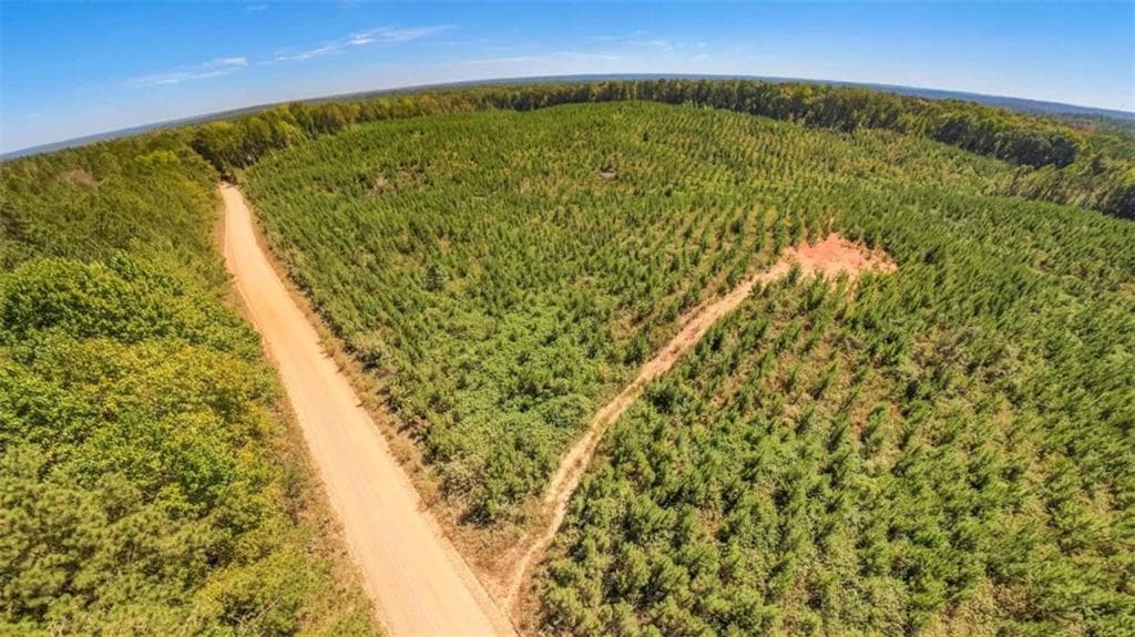 unimproved land for sale at 0 Hutcheson Ferry Road, Whitesburg, GA 30185 — photo 4