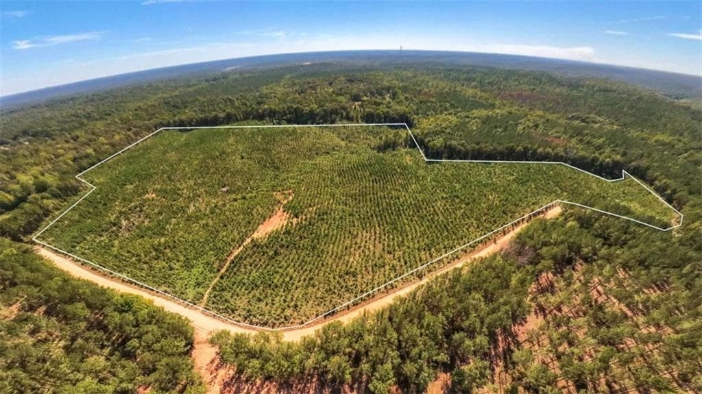 unimproved land for sale at 0 Hutcheson Ferry Road, Whitesburg, GA 30185 — photo 5