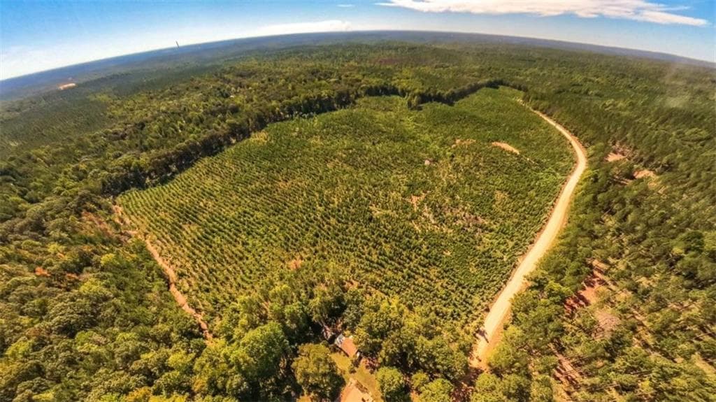 unimproved land for sale at 0 Hutcheson Ferry Road, Whitesburg, GA 30185 — photo 6