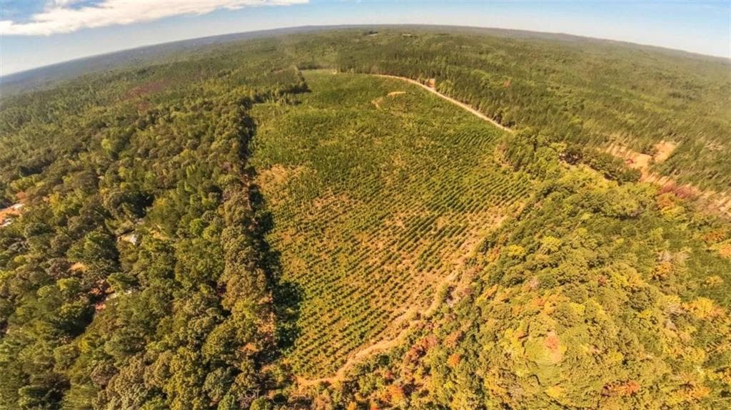 unimproved land for sale at 0 Hutcheson Ferry Road, Whitesburg, GA 30185 — photo 8