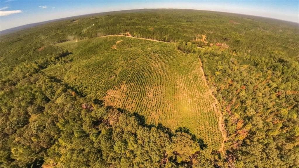 unimproved land for sale at 0 Hutcheson Ferry Road, Whitesburg, GA 30185 — photo 9