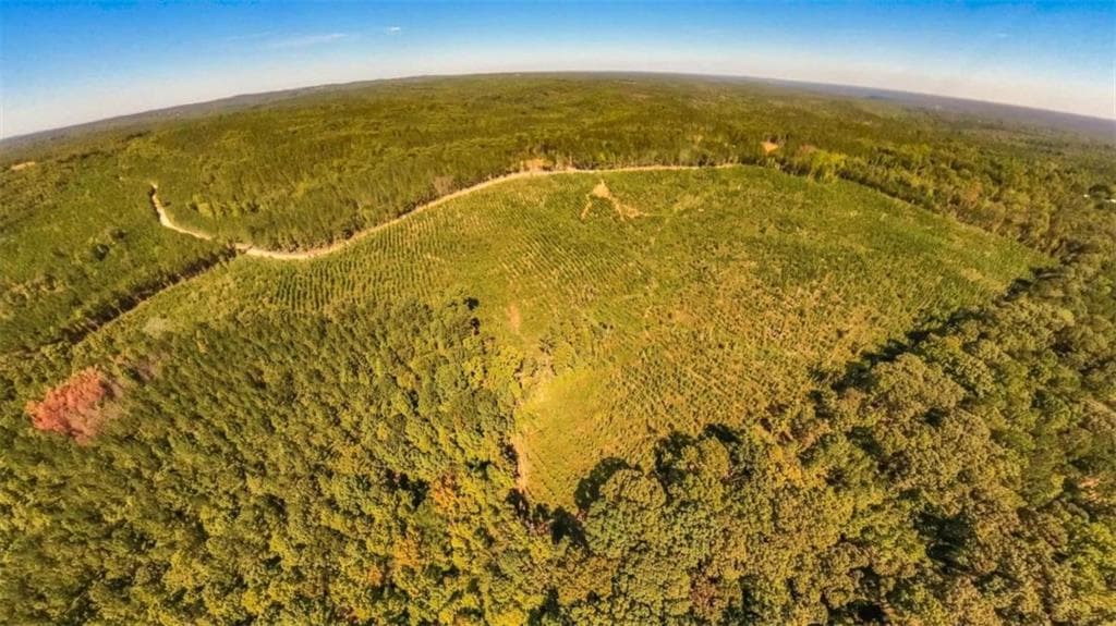 unimproved land for sale at 0 Hutcheson Ferry Road, Whitesburg, GA 30185 — photo 10