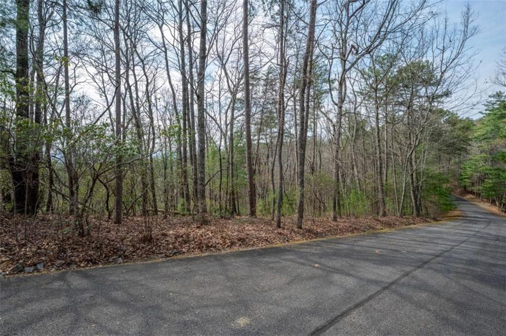 unimproved land for sale at LOT 8 Oceola Drive, Ellijay, GA 30540 — photo 2