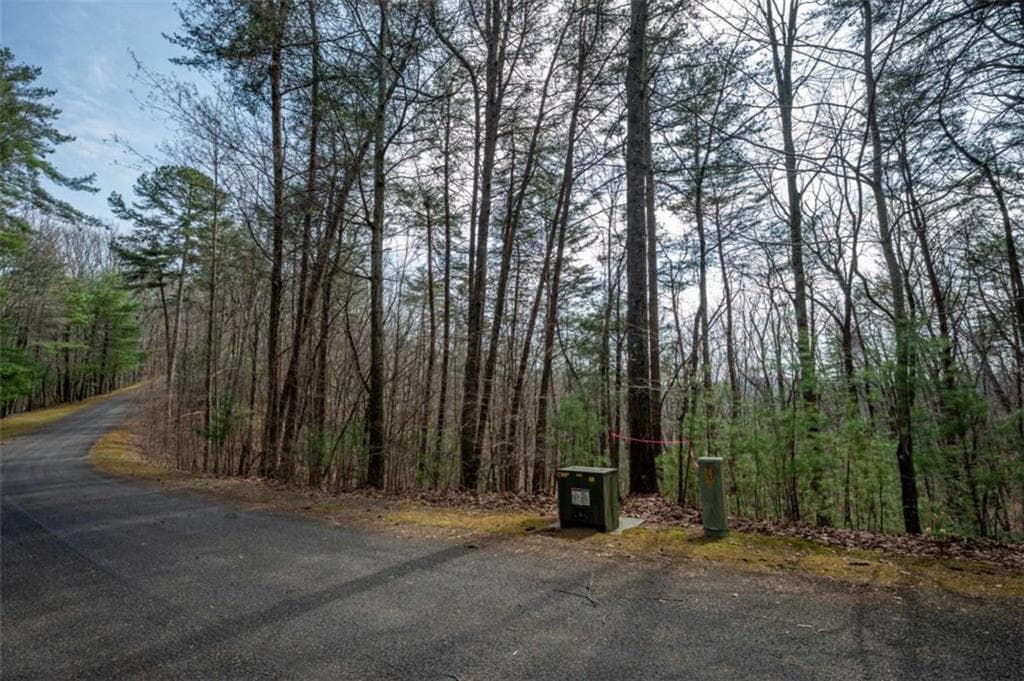 unimproved land for sale at LOT 8 Oceola Drive, Ellijay, GA 30540 — photo 3