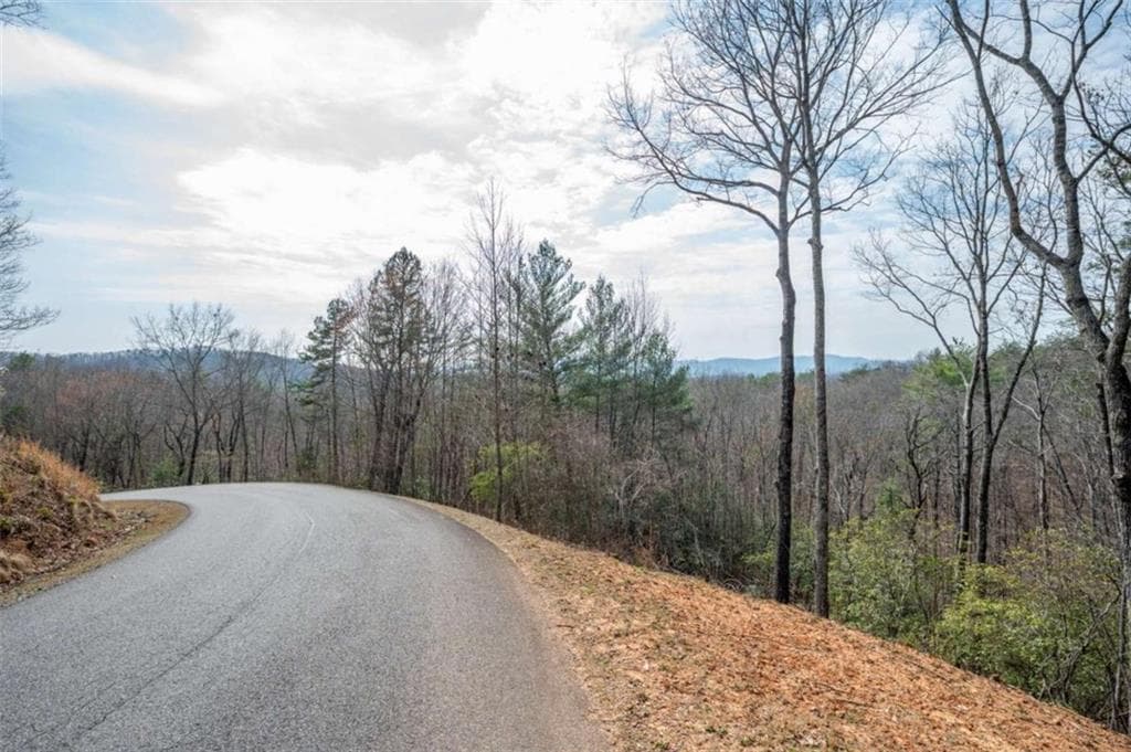 unimproved land for sale at LOT 8 Oceola Drive, Ellijay, GA 30540 — photo 4