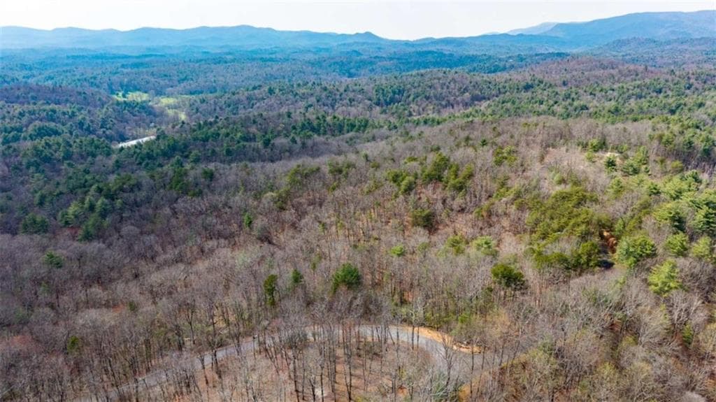 unimproved land for sale at LOT 8 Oceola Drive, Ellijay, GA 30540 — photo 5