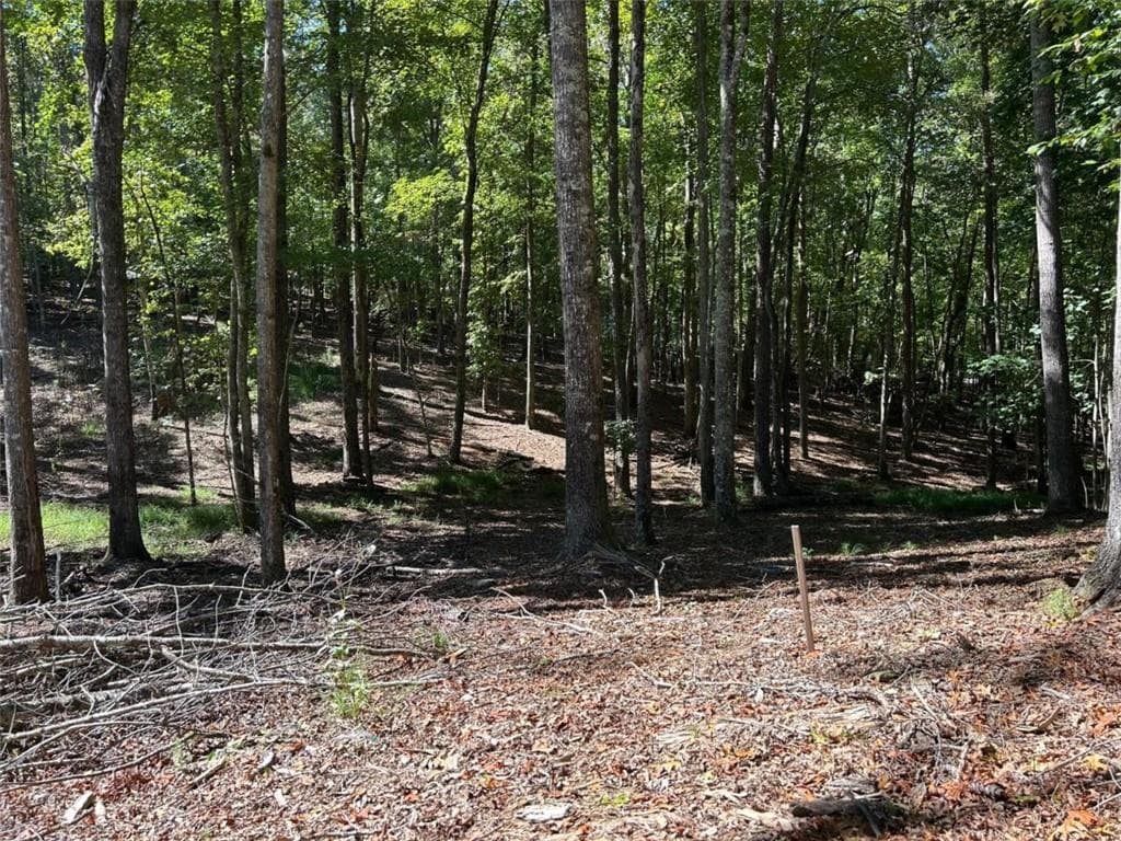 single family residence for sale at Lt 533 Eagle Mountain Drive, Ellijay, GA 30540