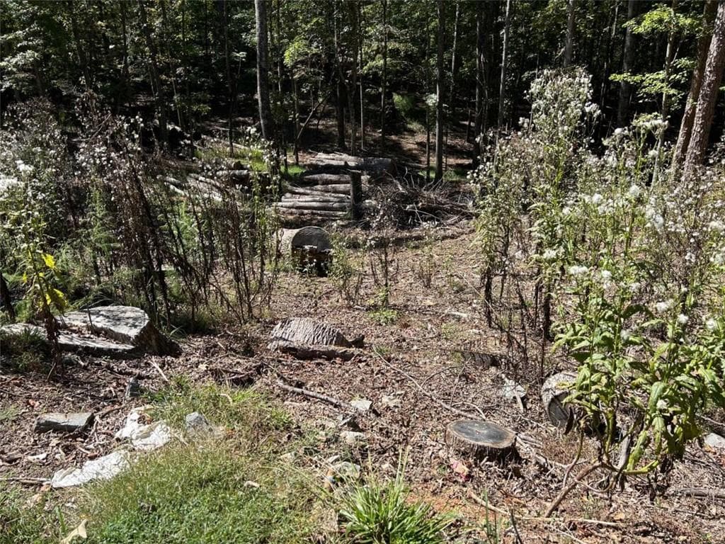 single family residence for sale at Lt 533 Eagle Mountain Drive, Ellijay, GA 30540 — photo 3