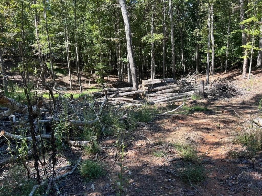 single family residence for sale at Lt 533 Eagle Mountain Drive, Ellijay, GA 30540 — photo 4