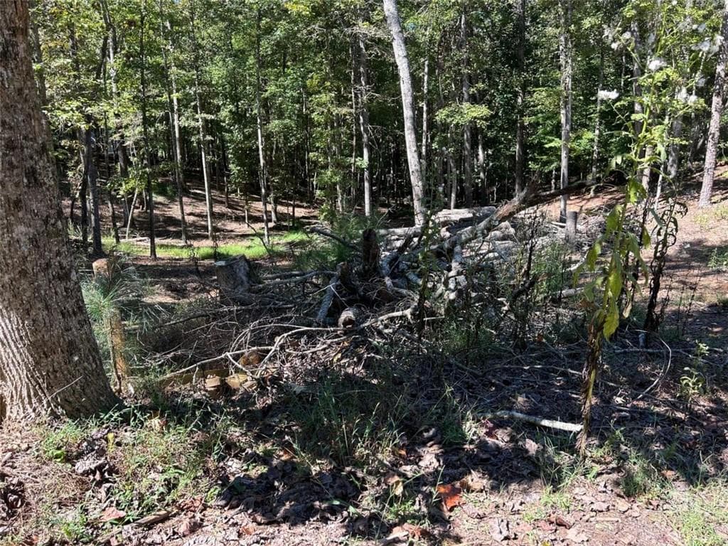single family residence for sale at Lt 533 Eagle Mountain Drive, Ellijay, GA 30540 — photo 5