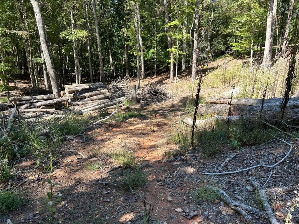 single family residence for sale at Lt 533 Eagle Mountain Drive, Ellijay, GA 30540 — photo 6