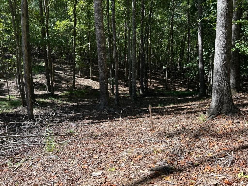single family residence for sale at Lt 533 Eagle Mountain Drive, Ellijay, GA 30540 — photo 8