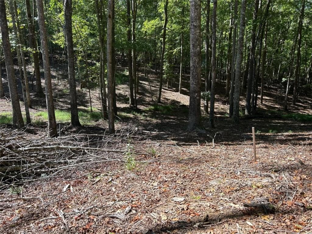 single family residence for sale at Lt 533 Eagle Mountain Drive, Ellijay, GA 30540 — photo 10