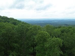 single family residence for sale at 39 High Summit Drive, Talking Rock, GA 30175 — photo 10