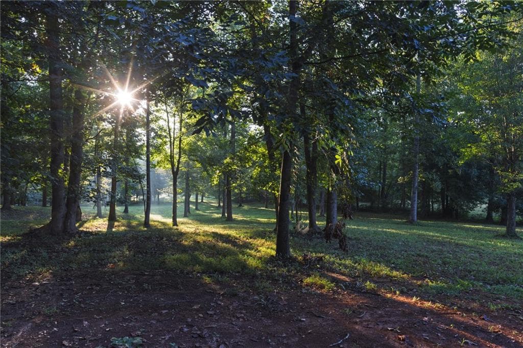 4 bedroom, 2 bathroom, 2,376 sq ft single family residence for sale at 2907 Hightower Road, Ball Ground, GA 30107 — photo 3