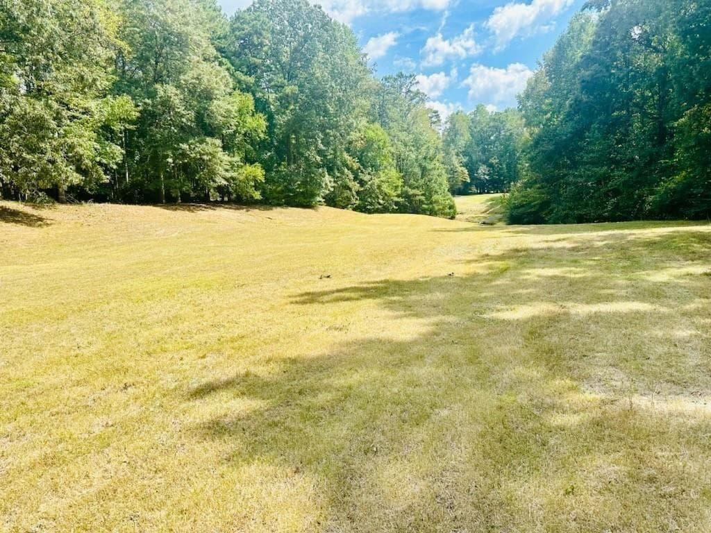 single family residence for sale at 330 Lakeshore Road, Milton, GA 30004 — photo 3