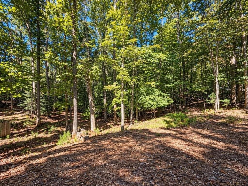 3 bedroom, 3 bathroom, 2,714 sq ft single family residence for sale at 1466 Newport Drive, Ellijay, GA 30540 — photo 8