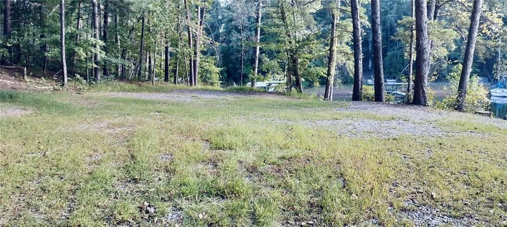 other for sale at 0 Mercedes Drive, Cumming, GA 30041 — photo 3