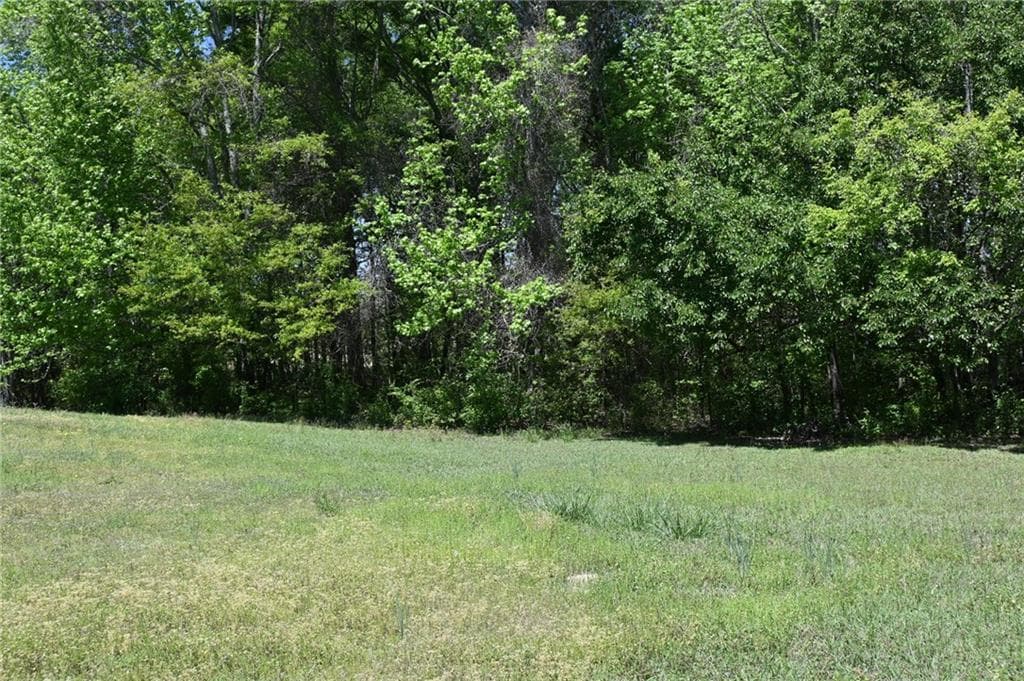 4 bedroom, 4 bathroom, 3,365 sq ft single family residence for sale at 2755 Langley Road, Loganville, GA 30052 — photo 9