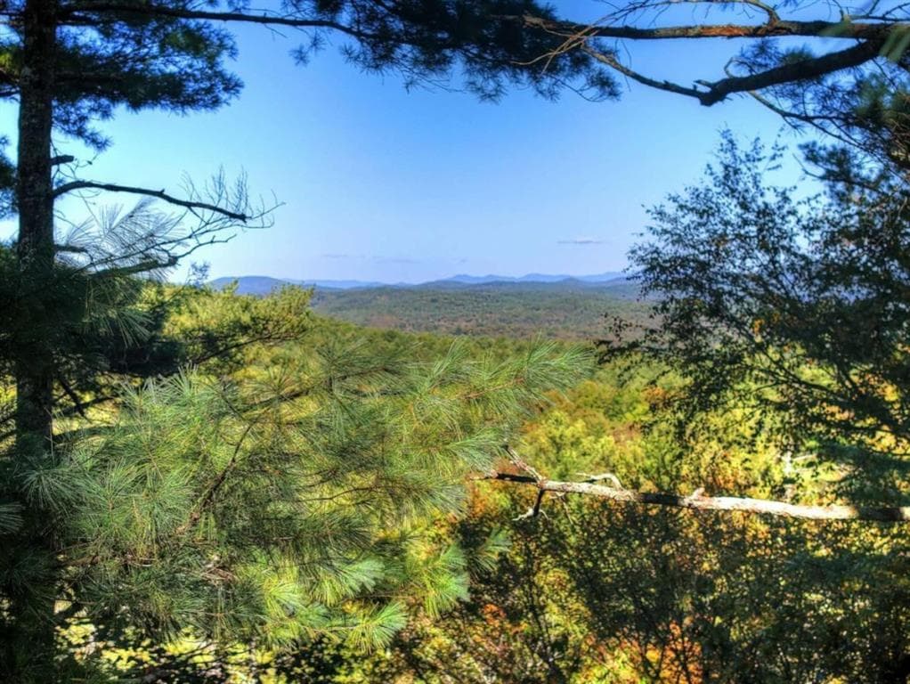 4 bedroom, 4 bathroom, 2,741 sq ft single family residence for sale at LT 123 Bell Camp Ridge Road, Blue Ridge, GA 30513 — photo 3
