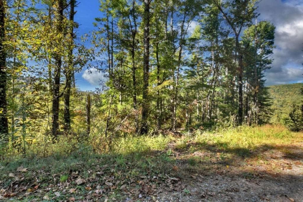 4 bedroom, 4 bathroom, 2,741 sq ft single family residence for sale at LT 123 Bell Camp Ridge Road, Blue Ridge, GA 30513 — photo 4